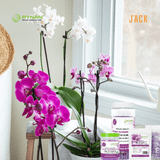  30 túi lưới phân bón tan chậm hoa lan RYNAN 12-12-20 (90g) 