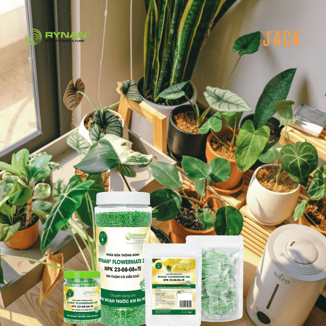  30 túi lưới phân bón tan chậm cây Cảnh RYNAN 23-08-08 (90g) 