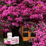  Phân bón tan chậm ra hoa cho kiểng hoa, hoa hồng RYNAN 150g 