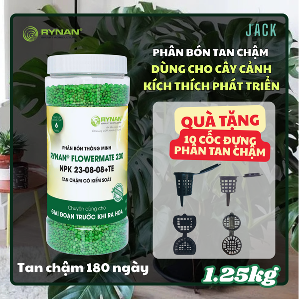  Phân bón tan chậm cây cảnh RYNAN 23-08-08 dưỡng lá và chồi Lọ 1.25kg 