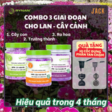  Bộ 3 chai phân bón Tan chậm Rynan - Dùng cho hoa lan, cây cảnh 