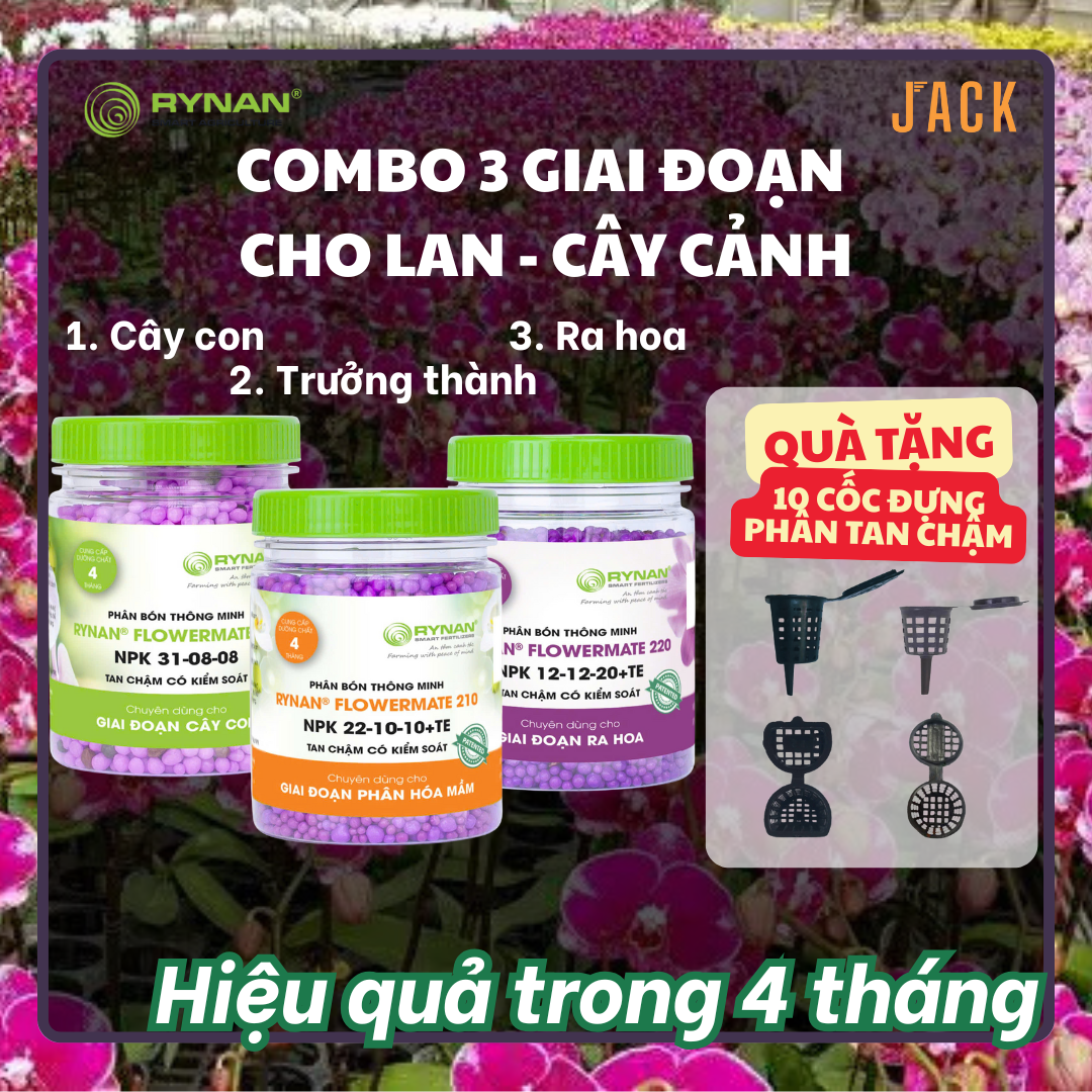  Bộ 3 chai phân bón Tan chậm Rynan - Dùng cho hoa lan, cây cảnh 