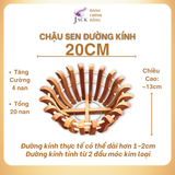  Chậu Gỗ Trồng Lan Nan Tăng Cường Hình Quả Bí và Hoa Sen - Chất Liệu Gỗ Nhãn 