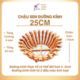  Chậu Gỗ Trồng Lan Nan Tăng Cường Hình Quả Bí và Hoa Sen - Chất Liệu Gỗ Nhãn 