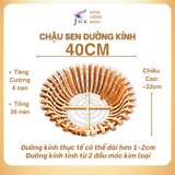  Chậu Gỗ Trồng Lan Nan Tăng Cường Hình Quả Bí và Hoa Sen - Chất Liệu Gỗ Nhãn 
