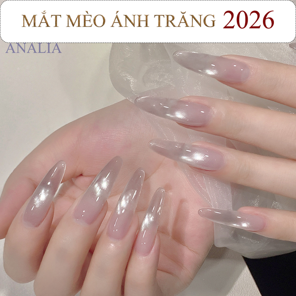  Sơn Gel Mắt Mèo Ánh Trăng ANSC 2026 