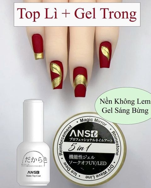  Top Nhám Lì ANSC 