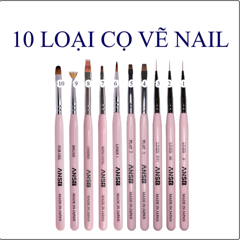  CLASS: Combo Cọ Vẽ ANSC 10 Loại 