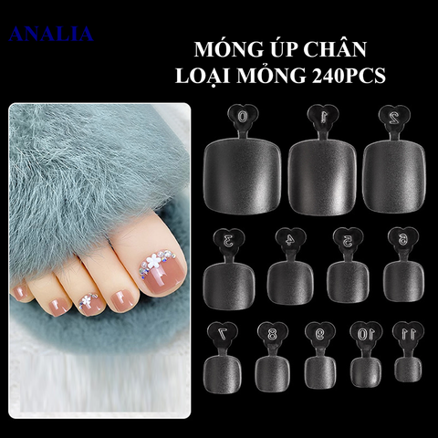  Típ Dán Úp Móng Chân ANSC 