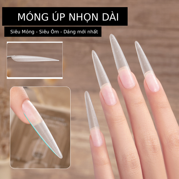  Móng Úp Nhọn ANSC Loại Dài 