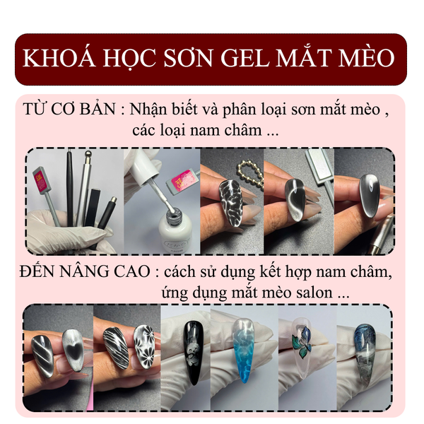  Khoá Học Sơn Gel Mắt Mèo 