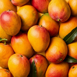 Mứt sinh tố xoài nhãn hiệu FariBeva từ Farina | Chai 1 L, Thùng 12 kg