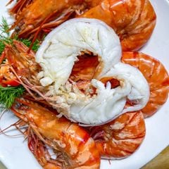 t 244 m s 250 quang canh hap