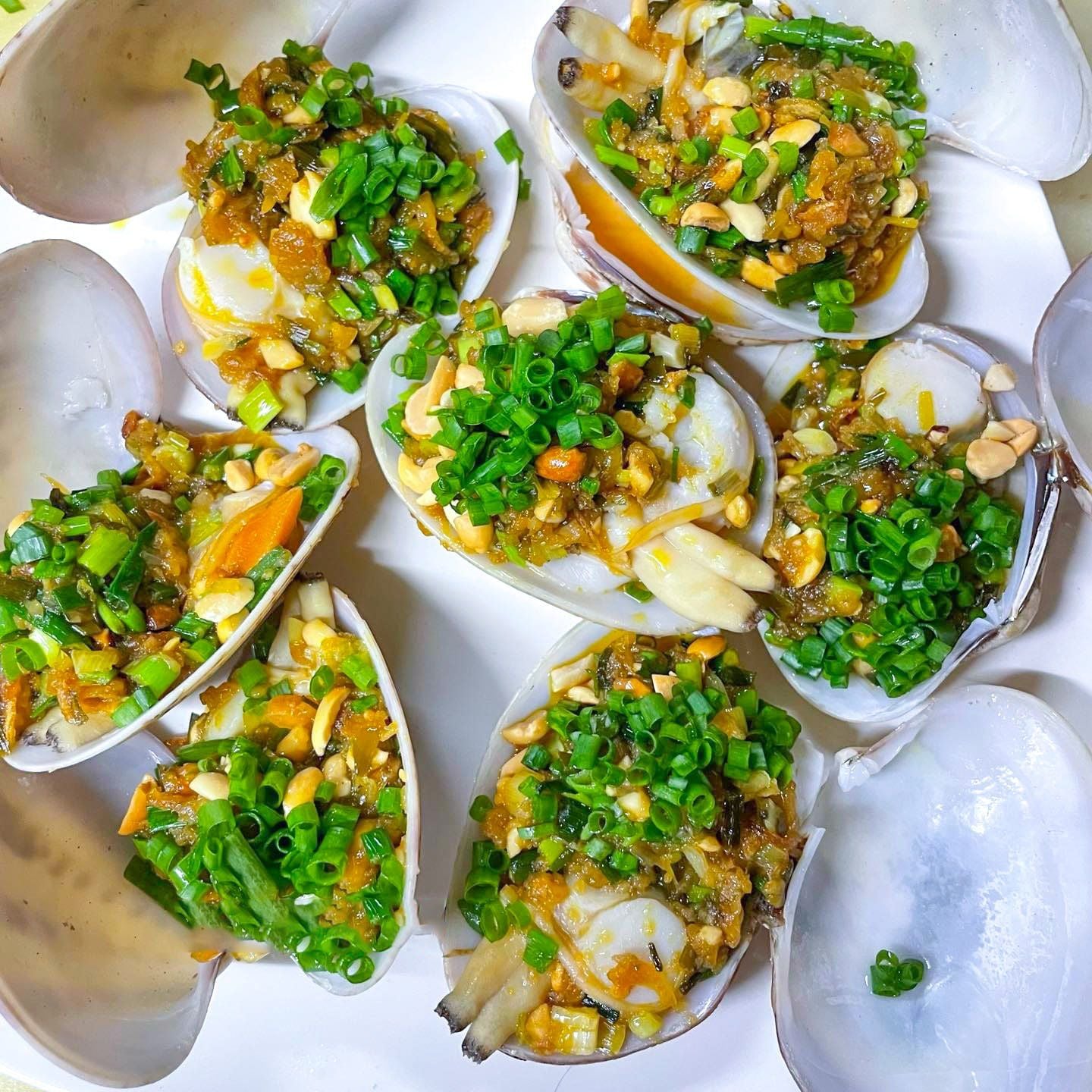  Ngao 2 Cồi Thiên Nhiên Nướng Mỡ Hành 