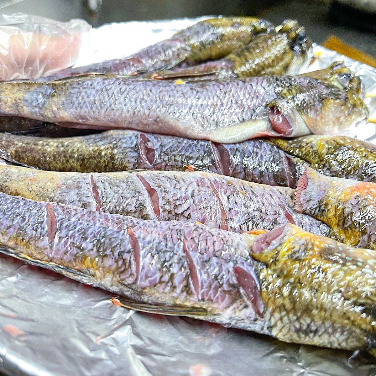  Cá Thòi Lòi Nướng Muối Ớt 