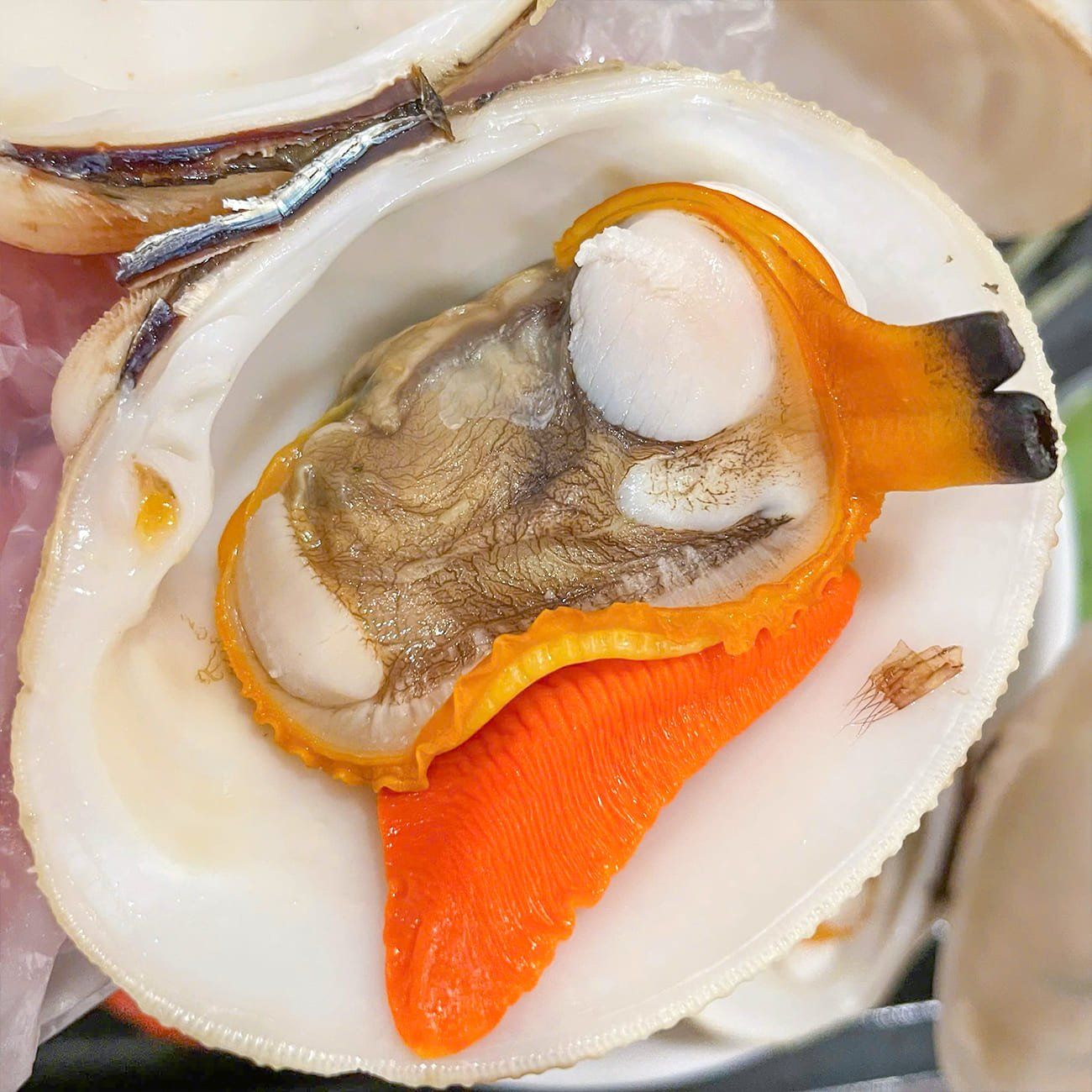  Sò Sần Thiên Nhiên 