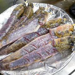 cathoiloinuongmuoiot