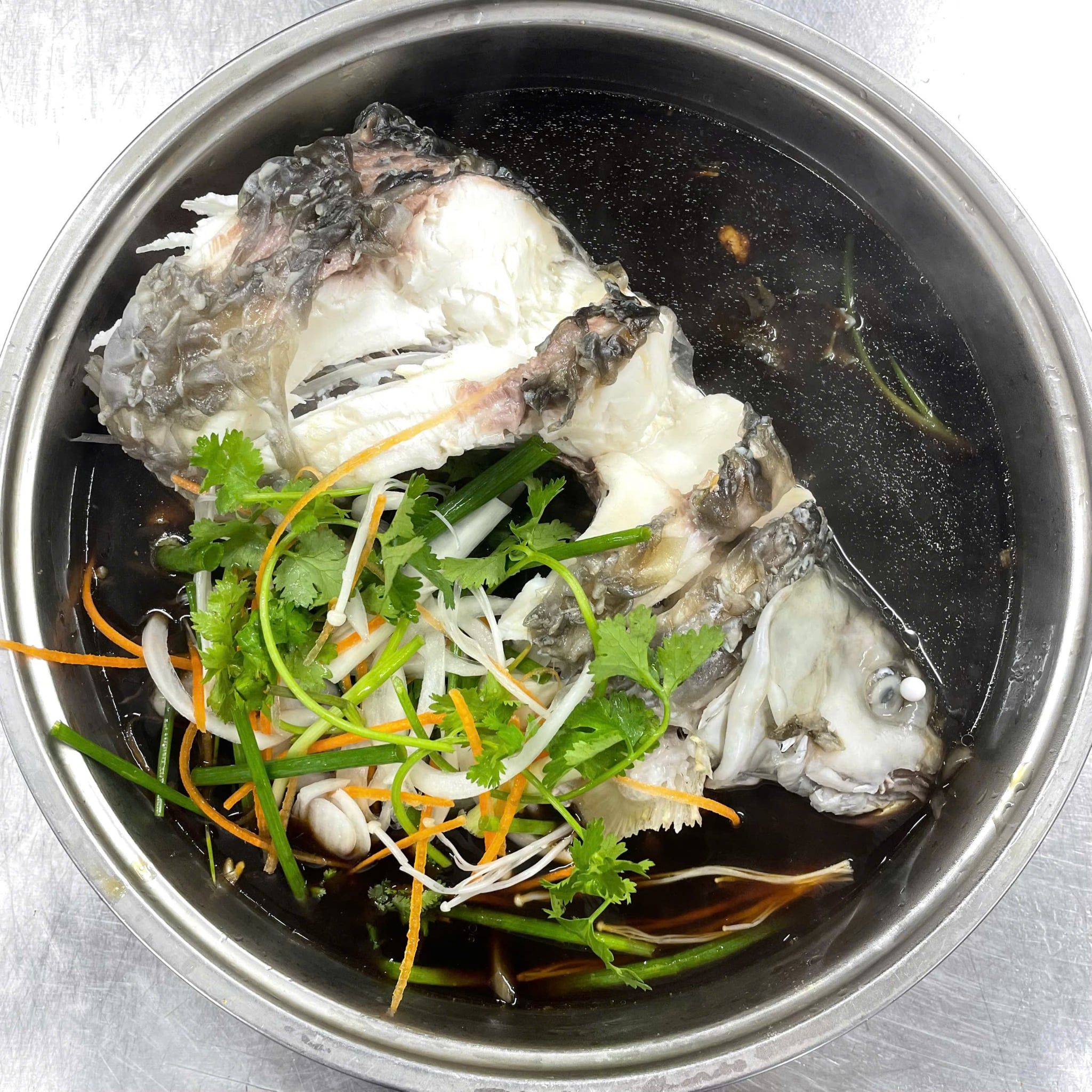  Cá Dầm Xanh 