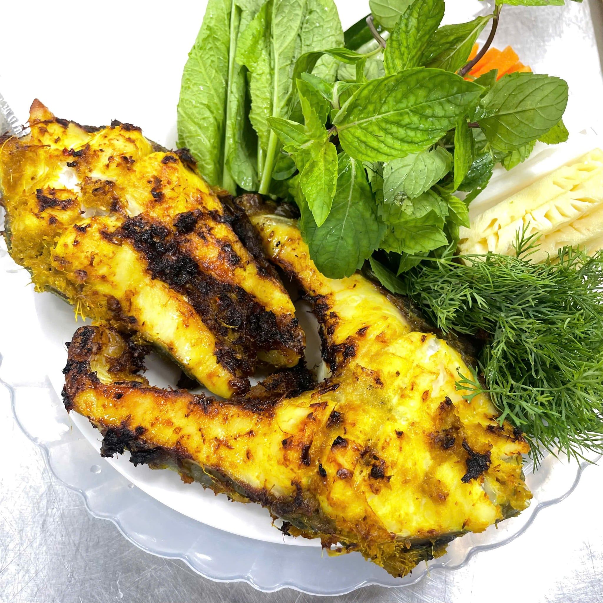  Cá Dầm Xanh 