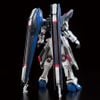 RG 1/144 The Gundam Base Limited Freedom Gundam Ver. GCP