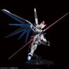 RG 1/144 The Gundam Base Limited Freedom Gundam Ver. GCP