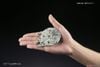 STAR WARS VEHICLE MODEL 006 MILLENNIUM FALCON
