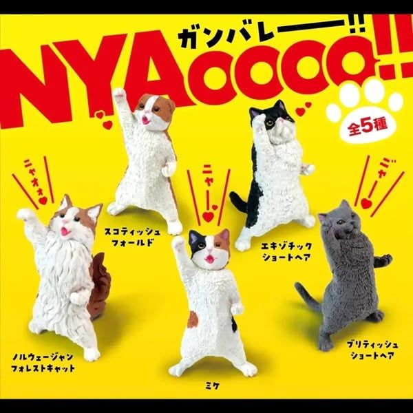 Yell - Blind Box - NYAOOO