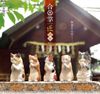Yell - Blind Box - Gassho Takumi - Cat Worship 2
