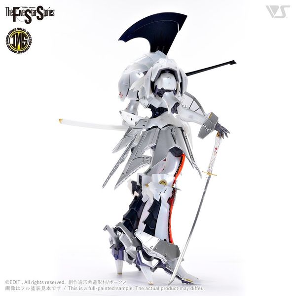 VOLKS - FSS - IMS 1/100 - L.E.D. MIRAGE V3 SINGLE Ver
