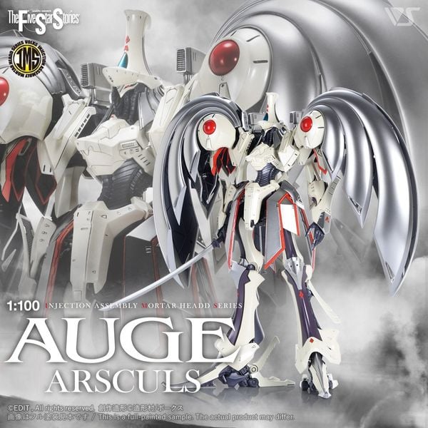 VOLKS - FSS - IMS 1/100 - AUGE ARSCULS