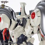 VOLKS - FSS - IMS 1/100 - AUGE ARSCULS