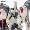 VOLKS - FSS - IMS 1/100 - AUGE ARSCULS