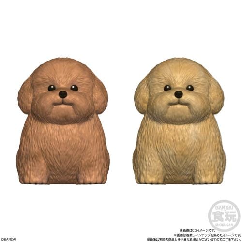 Mocchiri Kororin Dog