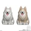 Mocchiri Kororin Dog