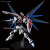 RG 1/144 The Gundam Base Limited Freedom Gundam Ver. GCP