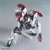 HGBD:R 1/144 Lord Astray Double Rebake