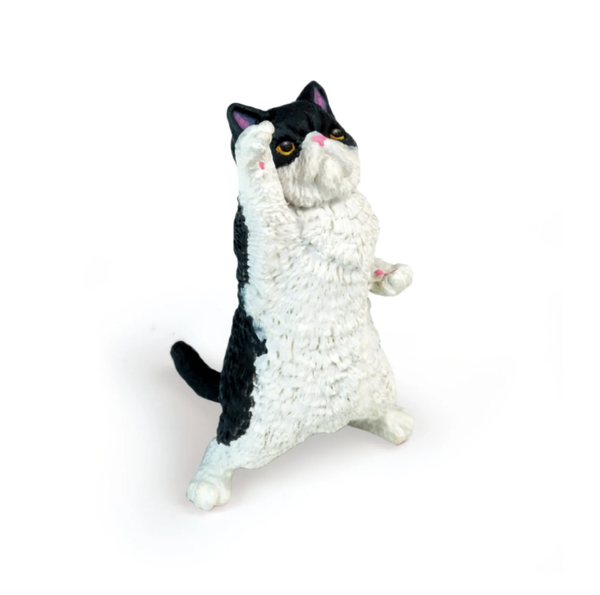 Yell - Blind Box - NYAOOO