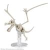 Pokemon Plastic Model Collection Fossil Pokemon Series Aerodactyl