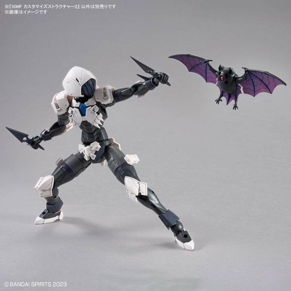 30MF CUSTOMIZE STRUCTURE 2