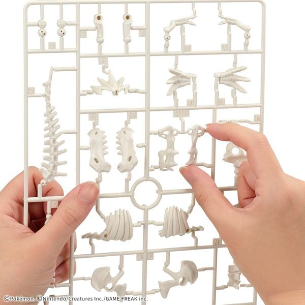 Pokemon Plastic Model Collection Fossil Pokemon Series Tyrantrum