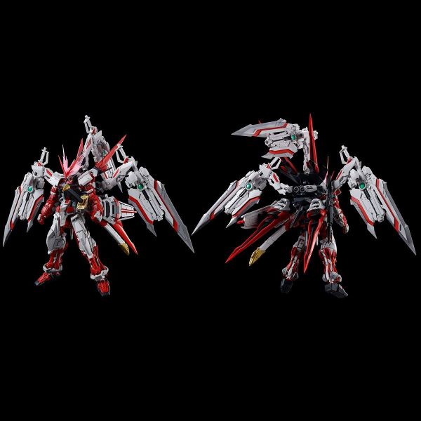 RG 1/144 Gundam Astray Red Dragon