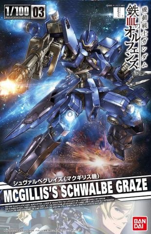 FM 1/100 MCGILLIS'S SCHWALBE GRAZE
