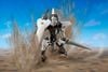 MODEROID - Broken Blade - Delphine Second Form
