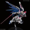 RG 1/144 The Gundam Base Limited Freedom Gundam Ver. GCP