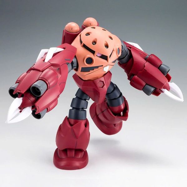 HG BF 1/144 AMAZING Z'GOK / ZGOK