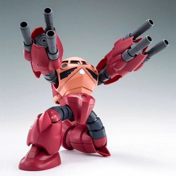HG BF 1/144 AMAZING Z'GOK / ZGOK