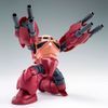 HG BF 1/144 AMAZING Z'GOK / ZGOK