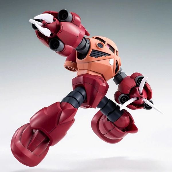HG BF 1/144 AMAZING Z'GOK / ZGOK