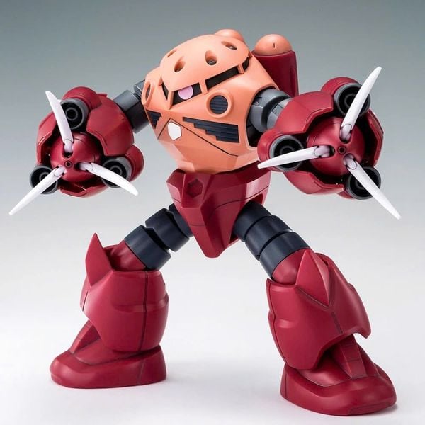 HG BF 1/144 AMAZING Z'GOK / ZGOK