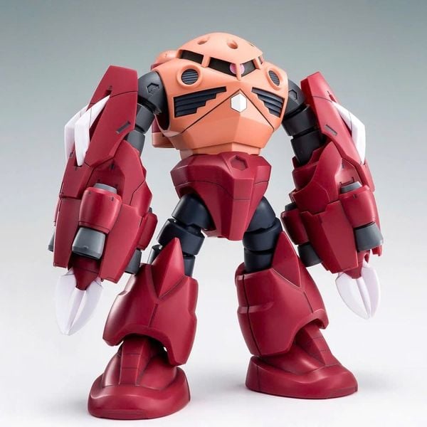 HG BF 1/144 AMAZING Z'GOK / ZGOK